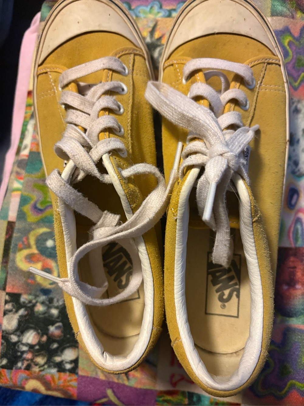 Old school Vans Skater Shoes